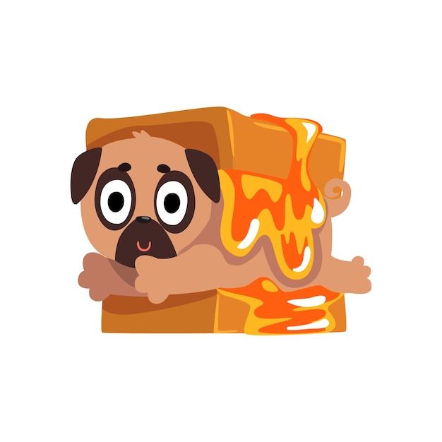 Czy psy mogą jeść ser bezpiecznie i zdrowo?