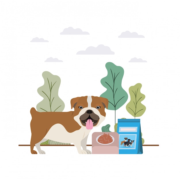 Jak długo żyją psy kundelki i dlaczego warto znać odpowiedź