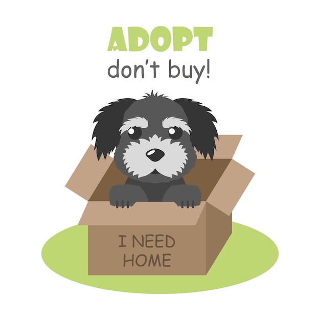 Psy na sprzedaż najlepszy wybór zdrowych psów teraz