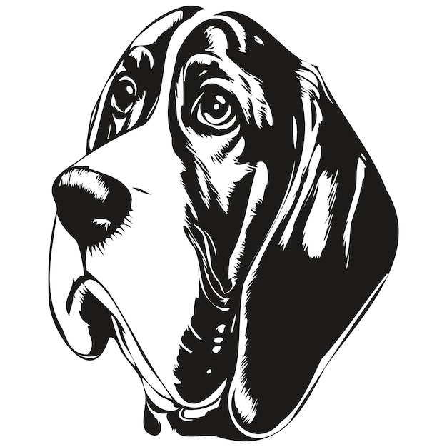 Psy gończe wyjątkowe cechy i zastosowania w Polsce