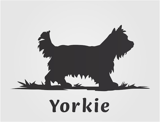 5 Niezwykłych Fakty Psy Yorki Kochają Opiekunów